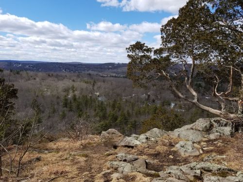 A rocky overlook with a tree, showcasing a vast landscape of trees and hills under a partly cloudy sky.
