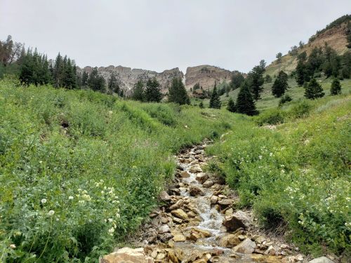 A rocky stream flows through a lush green valley, surrounded by trees and mountains under a cloudy sky.