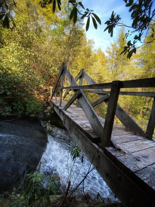 A wooden bridge spans a stream, surrounded by lush greenery and trees under a clear blue sky.