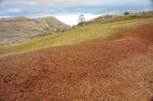 A landscape featuring rolling hills with vibrant red, yellow, and brown soil under a cloudy sky.