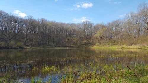 A serene lake surrounded by trees, reflecting the blue sky and clouds on a sunny day. Green grass lines the water's edge.