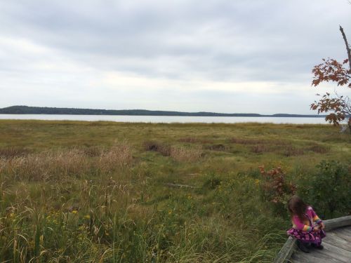 A child sits on a grassy shore, overlooking a calm lake under a cloudy sky. Trees line the distant shoreline.
