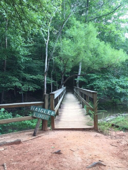 A wooden bridge leads into a lush green forest, with a sign reading "Haigler Loop" at the entrance.