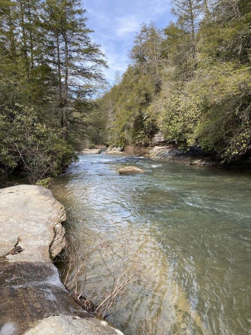 A serene river flows through a lush, green forest, with rocky banks and trees lining the water's edge.