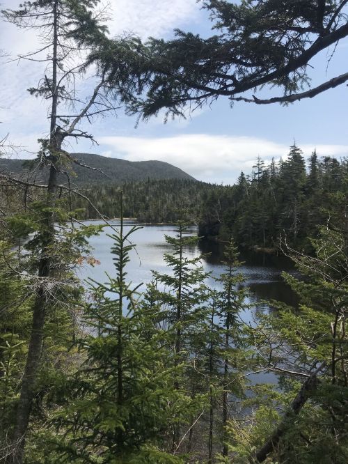 A serene view of a lake surrounded by lush green trees and mountains under a partly cloudy sky.