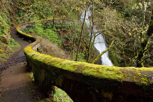A winding path with a moss-covered stone railing leads to a waterfall surrounded by lush greenery.