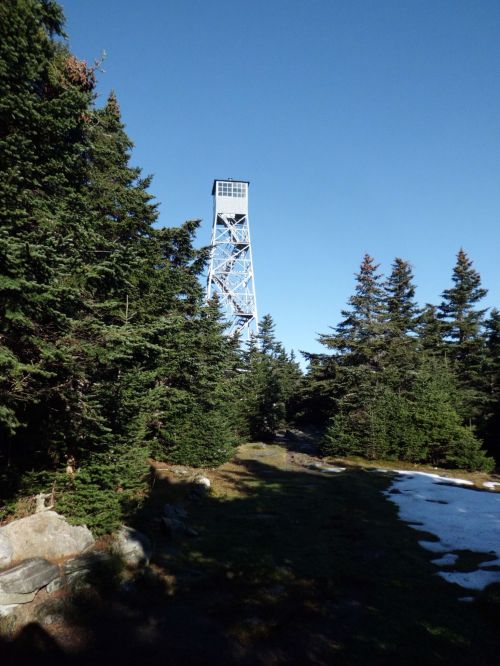 A tall observation tower rises above a forested area, with patches of snow on the ground and a clear blue sky.