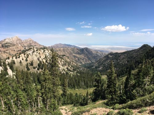 A panoramic view of mountains and valleys under a clear blue sky, with lush green trees in the foreground.