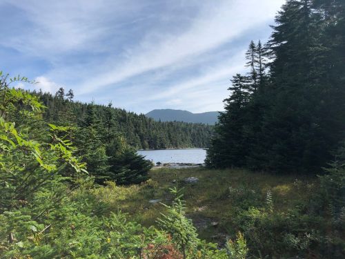 A serene lake surrounded by lush green trees and mountains under a blue sky with wispy clouds.