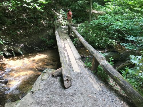 A wooden bridge over a small stream in a lush, green forest, with a person standing on the bridge.