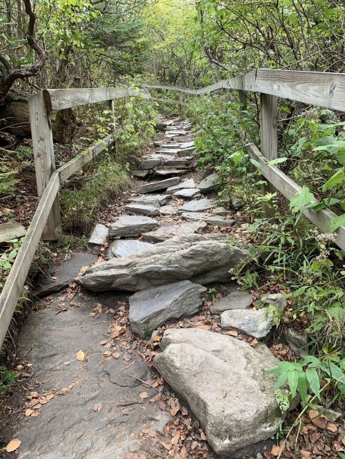 A rocky path surrounded by greenery, with wooden railings on either side, leading through a forested area.
