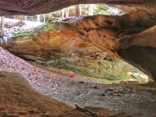 A cave interior with smooth, colorful rock formations and a view of a forest outside, featuring fallen leaves on the ground.