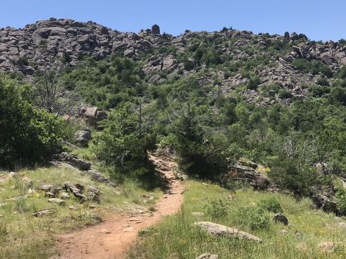 A dirt path winds through a green landscape with rocky hills and trees under a clear blue sky.