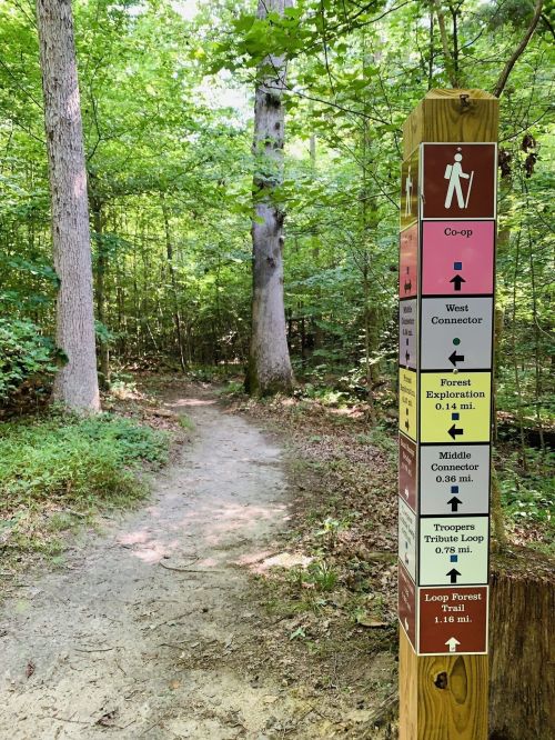 Trail signpost in a wooded area, displaying directions and distances for various hiking paths.