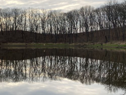 A calm lake reflects bare trees and a cloudy sky, with a gentle hillside in the background.