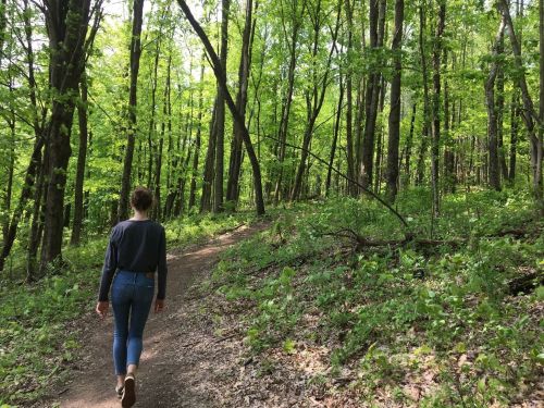 A person walks along a dirt path through a lush green forest, surrounded by tall trees and vibrant foliage.