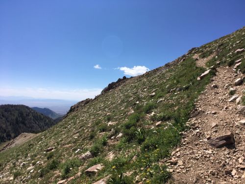 A rocky mountain trail winds up a grassy slope under a clear blue sky with a few clouds in the distance.