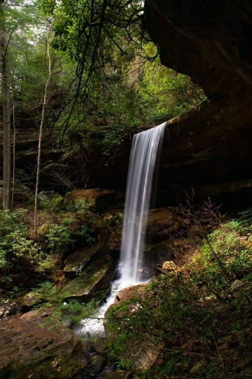 A serene waterfall cascades over rocks, surrounded by lush greenery and trees in a tranquil forest setting.