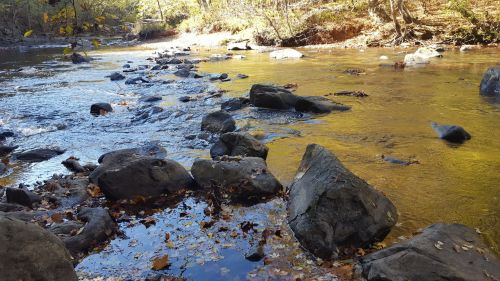 A serene river scene with smooth rocks and autumn leaves, surrounded by trees in a peaceful natural setting.