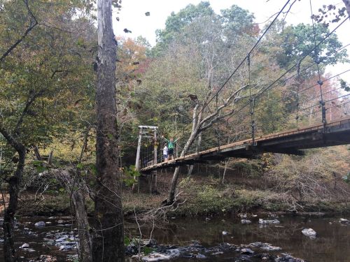 A suspension bridge over a river, surrounded by trees with autumn foliage, with two people standing on the bridge.