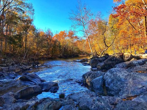 A serene river flows through a landscape of autumn trees and rocky banks under a clear blue sky.