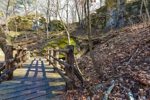 A wooden bridge crosses a rocky area surrounded by bare trees and fallen leaves in a serene forest setting.