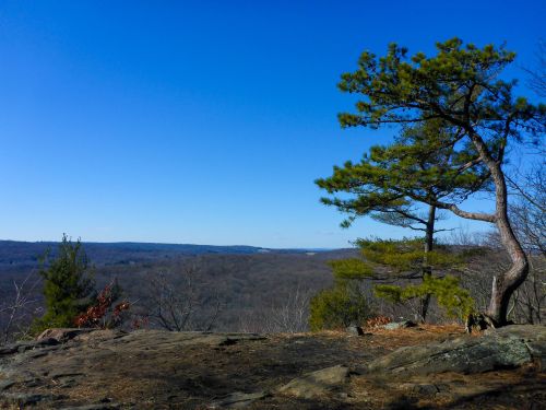 A rocky outcrop with a lone pine tree overlooking a vast, wooded valley under a clear blue sky.