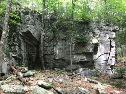 A rocky cliff face surrounded by trees, with large boulders and scattered rocks at the base.