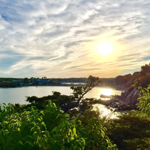 A serene landscape featuring a river at sunset, with lush greenery in the foreground and clouds in the sky.