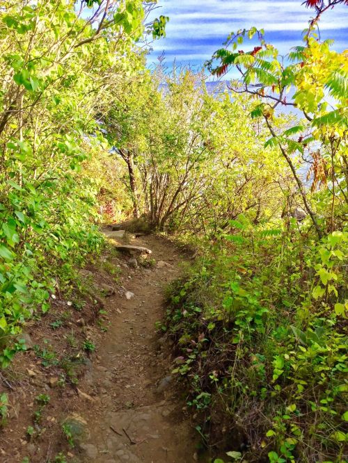 A narrow dirt path winds through lush greenery, leading towards a serene body of water in the distance.