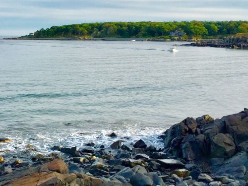 A serene coastal scene with calm waters, rocky shore, and lush green trees in the background under a cloudy sky.