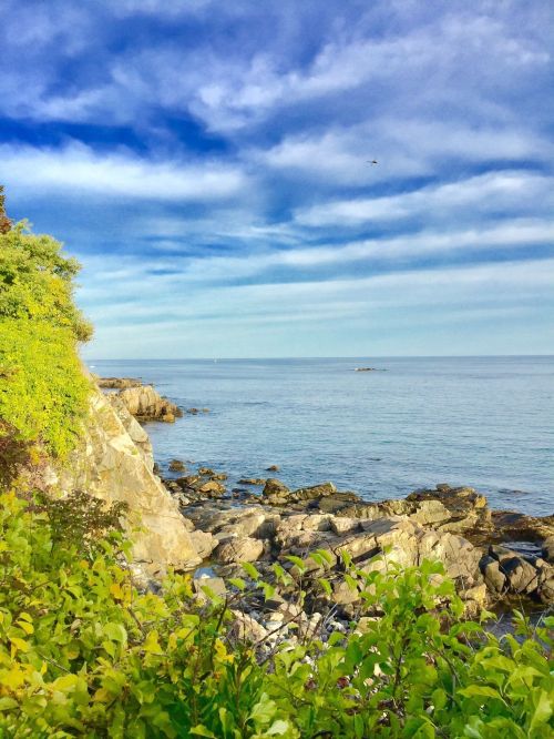 A serene coastal scene with rocky shores, calm waters, and a blue sky dotted with clouds. Green foliage in the foreground.