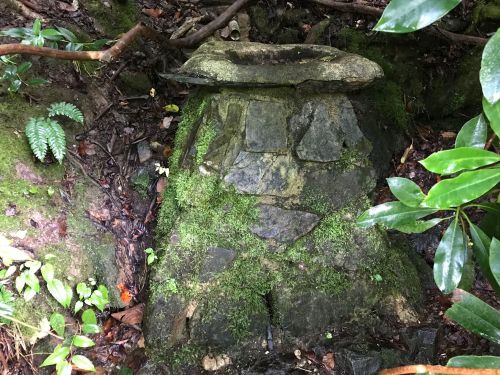 A moss-covered stone structure partially hidden among lush greenery in a forested area.