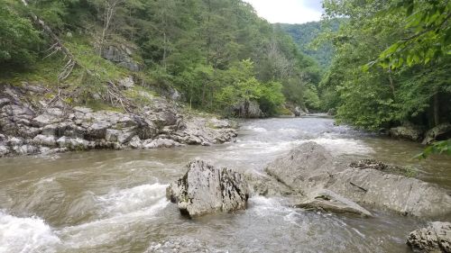 A serene river flows through a rocky landscape, surrounded by lush green trees and hills in the background.