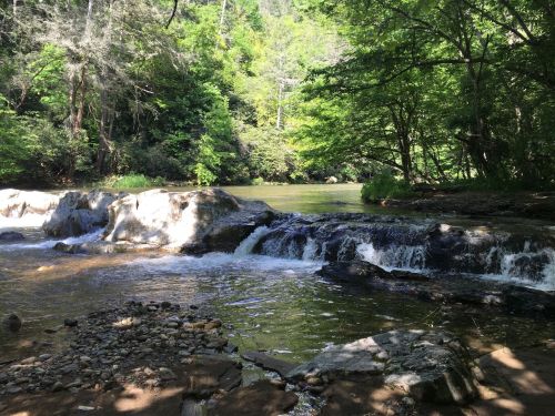 A serene river flows over rocks, surrounded by lush green trees and sunlight filtering through the foliage.