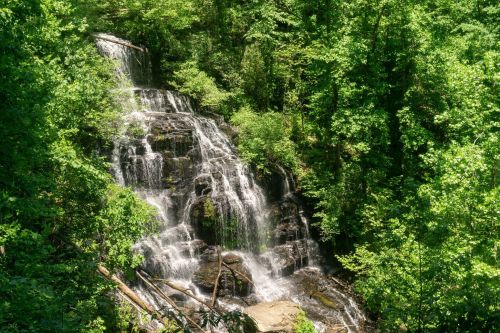 A cascading waterfall surrounded by lush green trees and foliage in a serene natural setting.