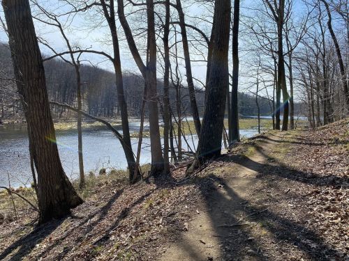 A serene forest path beside a calm river, with bare trees and sunlight filtering through the branches.