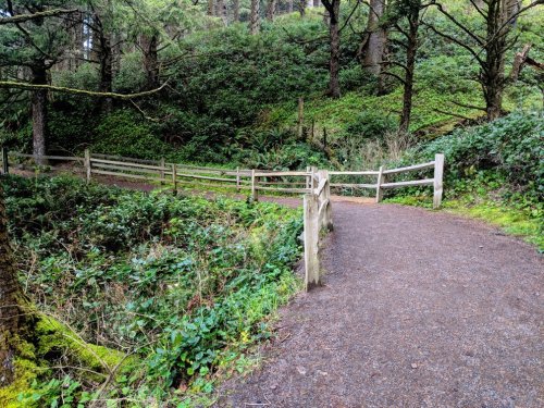 A winding path through a lush, green forest with wooden railings and dense vegetation on either side.