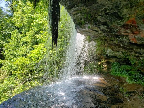 A waterfall cascading over rocks, surrounded by lush green foliage and sunlight filtering through the trees.
