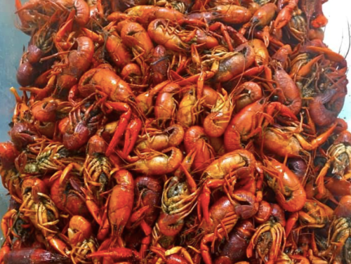 A large pile of cooked crawfish, showcasing their vibrant red shells and distinctive features.