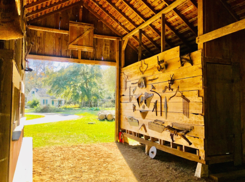 Interior of a rustic barn with wooden walls displaying various tools and equipment, sunlight streaming in from the entrance.