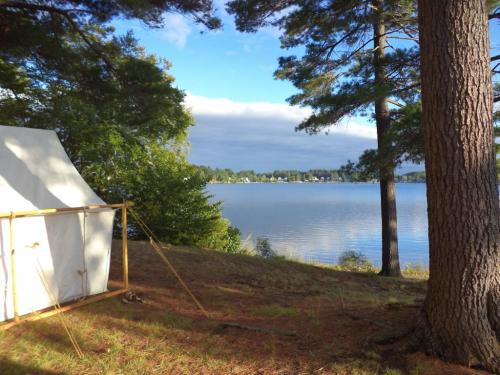 A serene lakeside view with a white tent and tall trees, reflecting calm waters under a blue sky.
