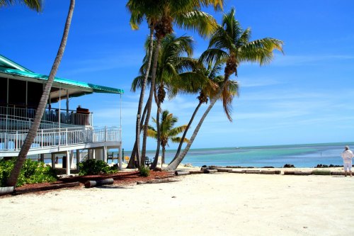 A sunny beach scene with palm trees, a waterfront building, and calm turquoise waters under a clear blue sky.