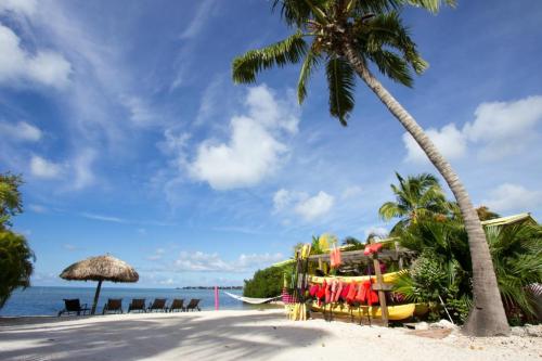 Tropical beach scene with palm trees, a hammock, and colorful kayaks under a blue sky with fluffy clouds.