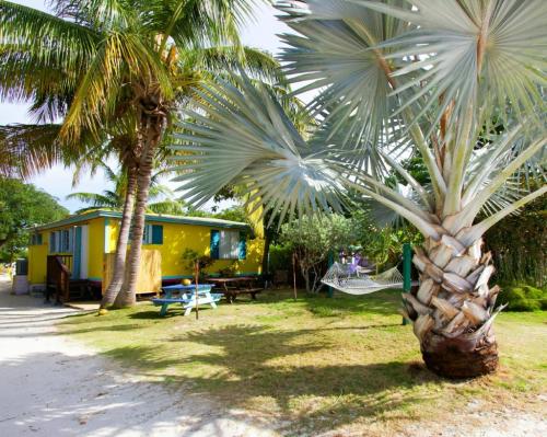 A vibrant yellow cottage surrounded by palm trees and a hammock, set in a sunny tropical landscape.