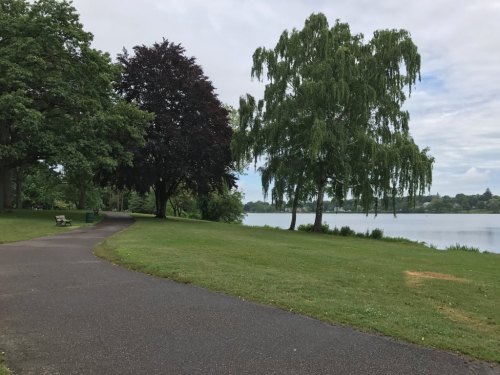A serene park scene with a winding path, lush green grass, and trees beside a calm lake under a cloudy sky.
