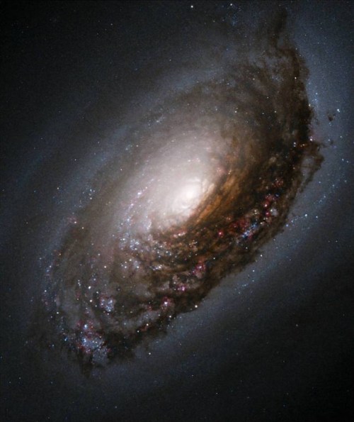 A stunning spiral galaxy with bright core and swirling arms, set against a dark cosmic background filled with stars.