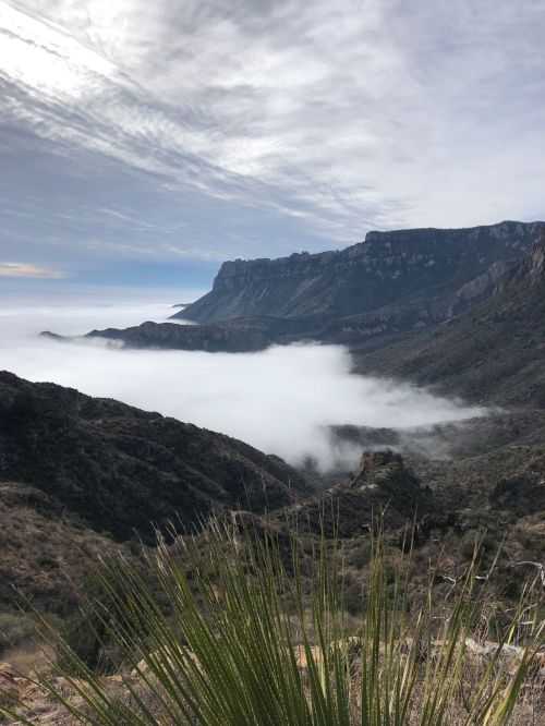 A scenic view of mountains shrouded in mist, with a foreground of green vegetation under a cloudy sky.