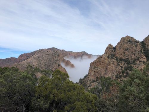 Fog rolling through rocky mountains, surrounded by greenery under a cloudy sky.