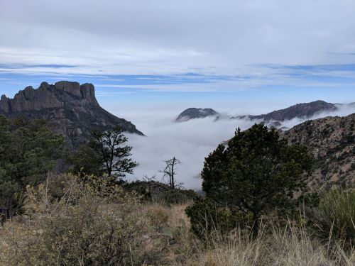 A scenic view of mountains shrouded in fog, with trees and shrubs in the foreground under a cloudy sky.